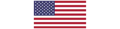 The US Flag